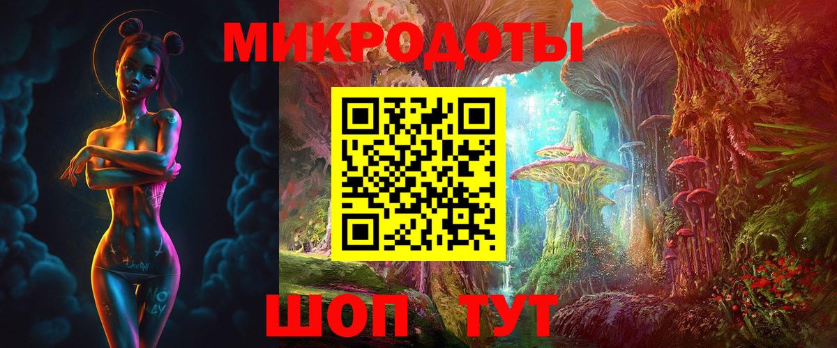 Галлюциногенные грибы Psilocybine cubensis Тайшет