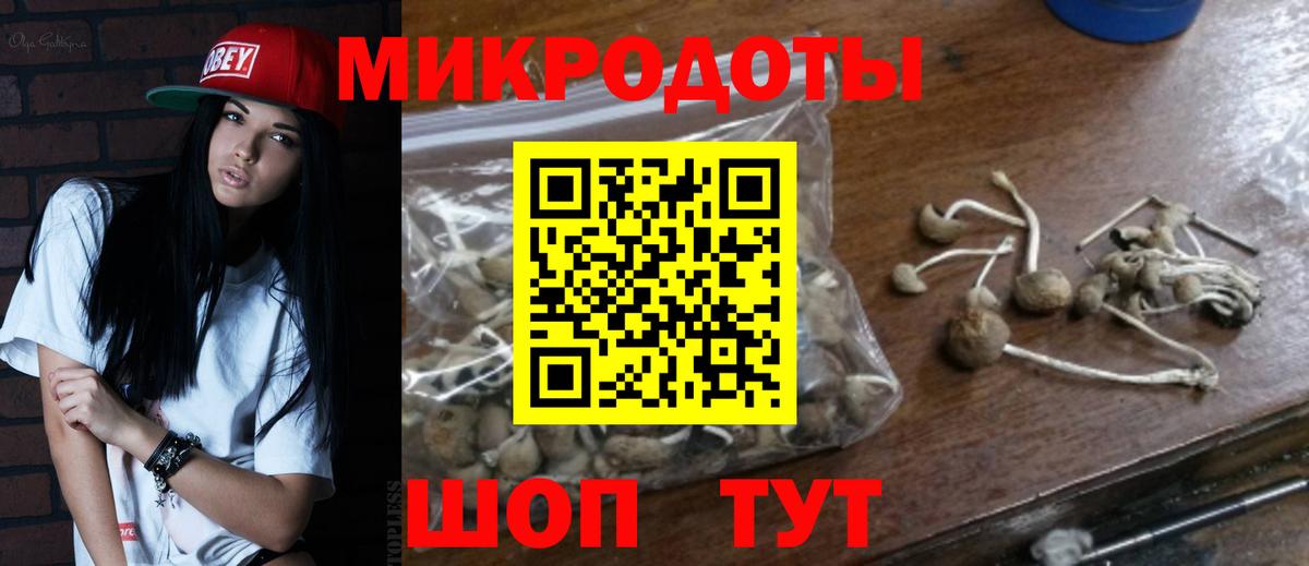 Галлюциногенные грибы Magic Shrooms  Псилоцибиновые грибы прущие грибы  Вход с VPN  Тайшет 